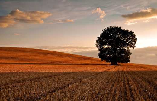 522848 (a): :2560x1650